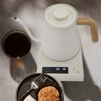 Appareils de cuisine cafetière arabe bouilloires électriques en acier 700ML bouilloire à café à col de cygne de conception classique