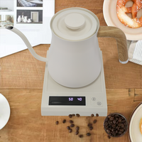 Bouilloire électrique en acier inoxydable, bec de 700ml, Style japonais, bouilloire à eau chaude, thé, verser sur le col de cygne, café goutte à goutte